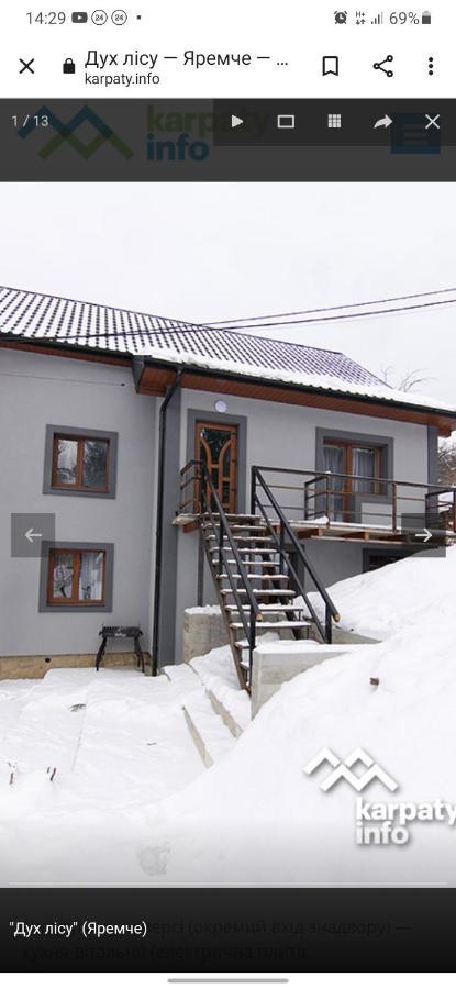 Дух Лісу Vila Yaremche Exterior foto