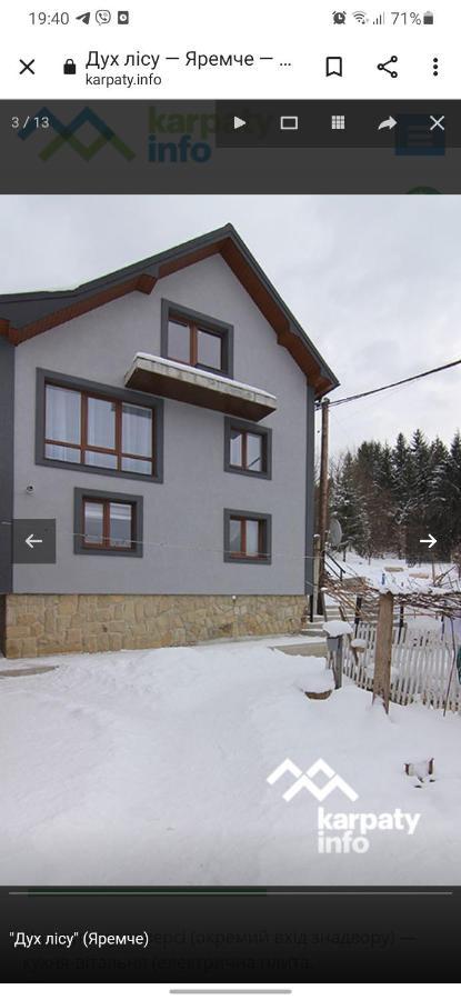 Дух Лісу Vila Yaremche Exterior foto